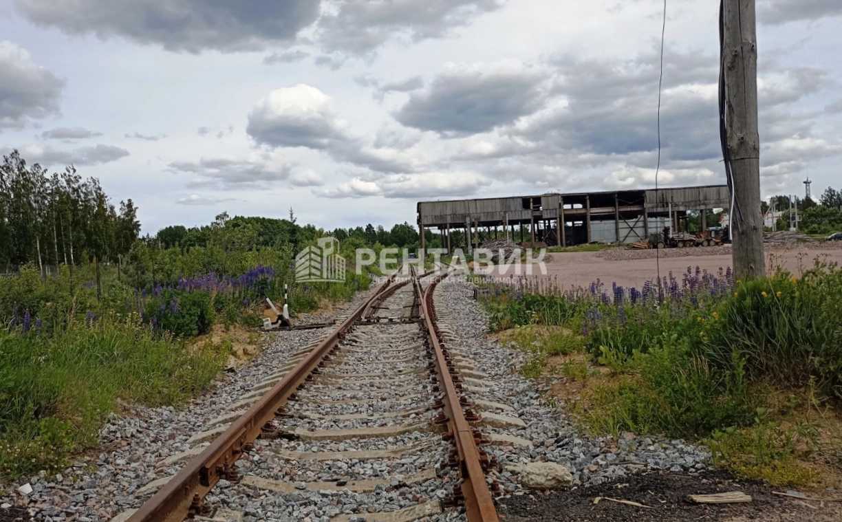 Фото земельного участка по адресу Ленинградская обл, Всеволожский р-н, зона Лесное, д 1