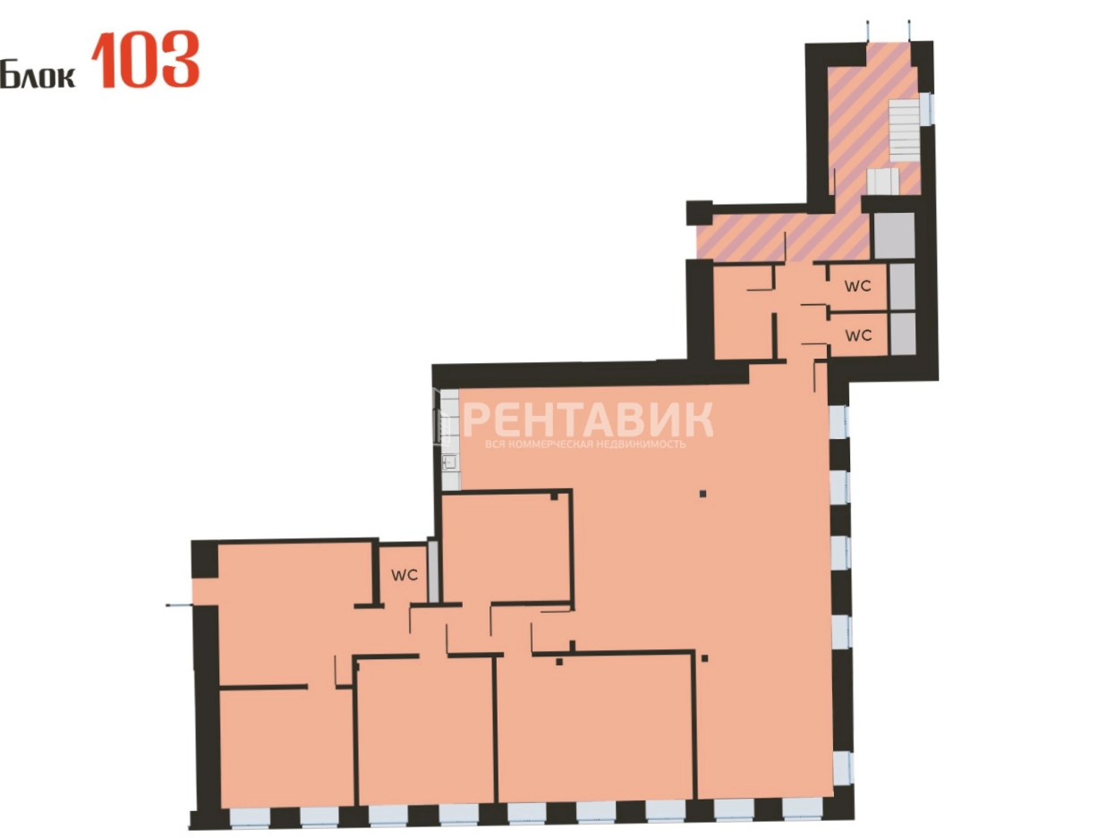 Офис Нега площадью 246 квадратных метров