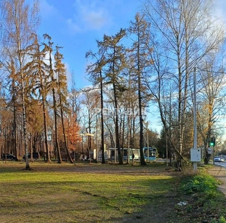 Фото земельного участка по адресу г Санкт-Петербург, Муринская дорога, д 16 к 1 стр 1