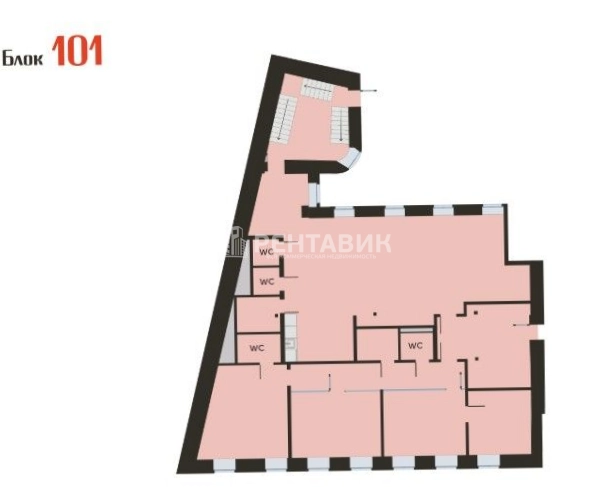 Офис Нега площадью 1163 квадратных метров