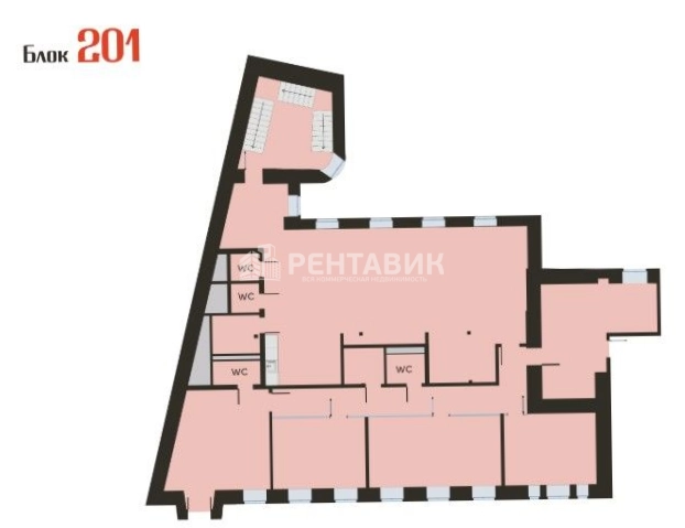 Офис Нега площадью 1163 квадратных метров