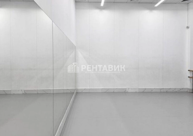 Помещение свободного назначения Дунай площадью 300 квадратных метров