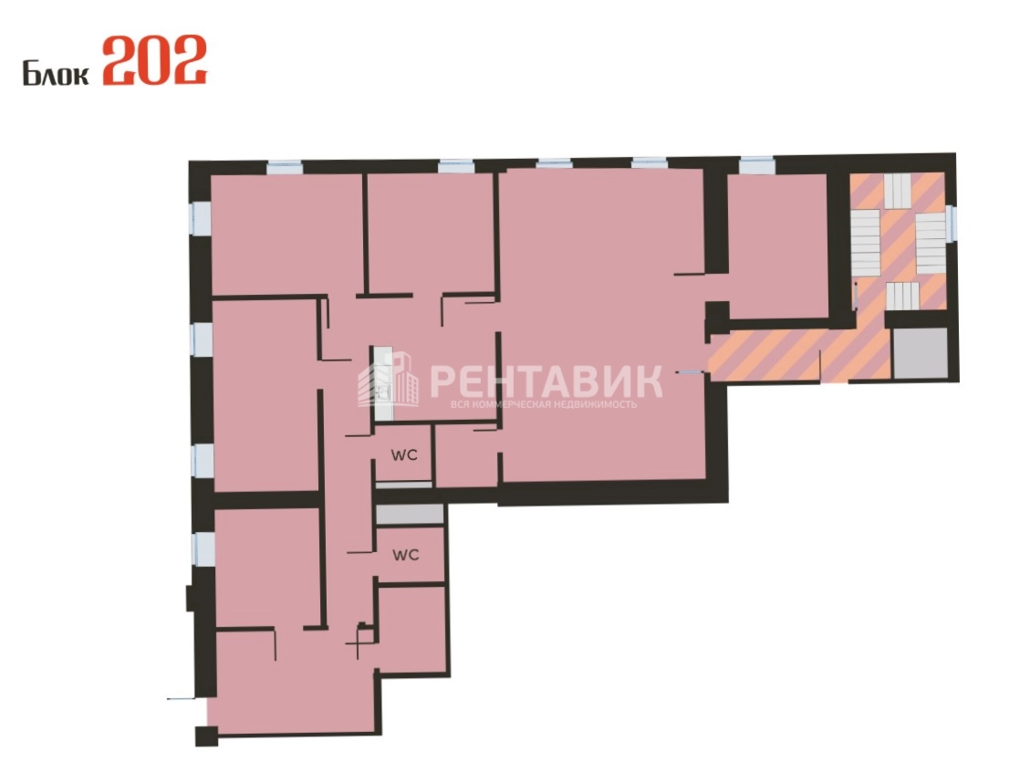 Офис Нега площадью 205 квадратных метров
