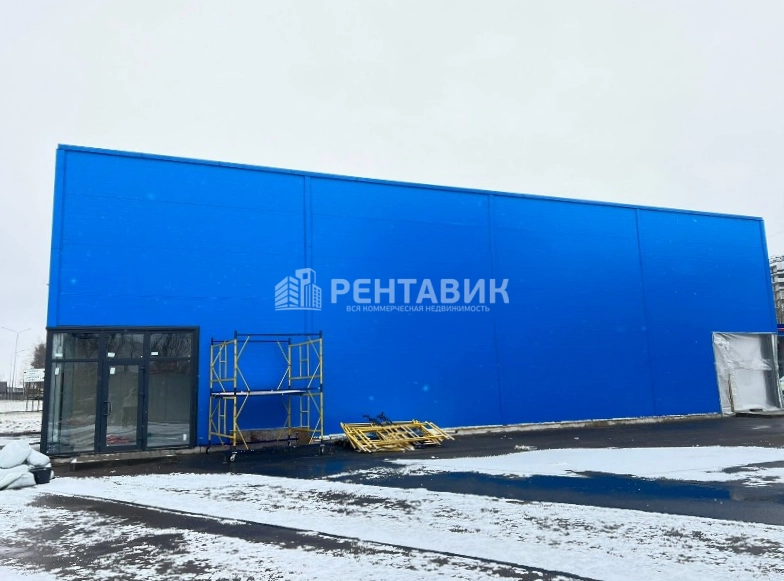 фасад дома, здание по адресу г Санкт-Петербург, Пискарёвский пр-кт, д 133 стр 1