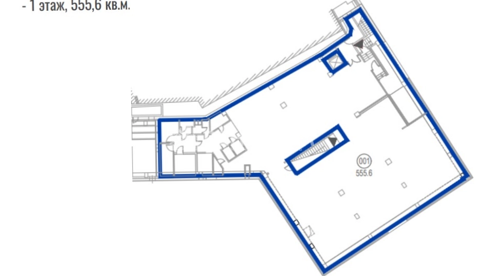 Помещение свободного назначения Renaissance Hall площадью 555 квадратных метров