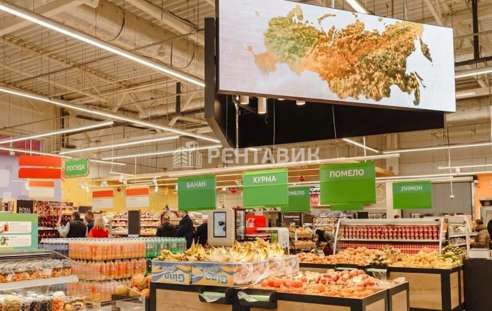 Торговая площадь Парголово, Заречная, 13к3 площадью 146.5 квадратных метров