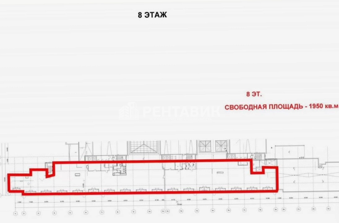 Офис Северная Пальмира площадью 1950 квадратных метров