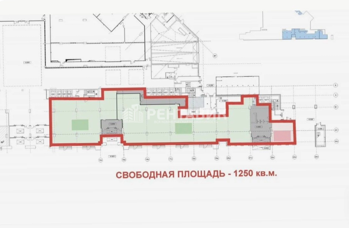 Офис Северная Пальмира площадью 1250 квадратных метров