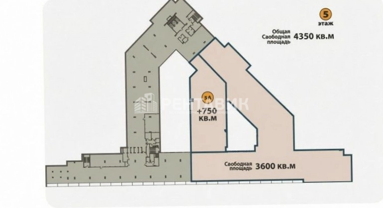 Офис Северная Пальмира площадью 4350 квадратных метров
