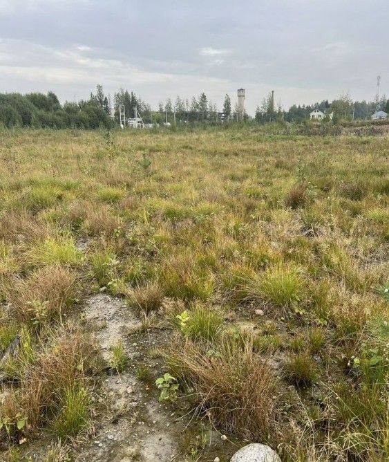 Фото земельного участка по адресу Ленинградская обл, Всеволожский р-н, зона Лесное, зд 2