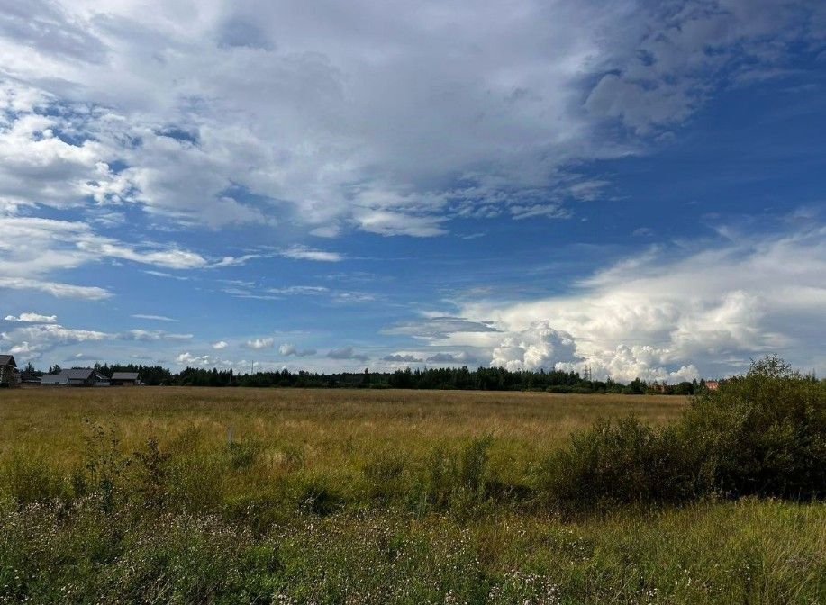 Фото земельного участка по адресу г Санкт-Петербург, г Петергоф, ул Луговая, д 24