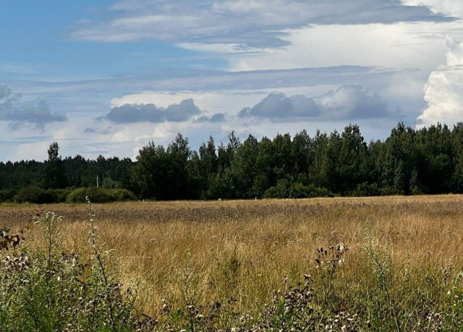 Фото земельного участка по адресу г Санкт-Петербург, г Петергоф, ул Луговая, д 24