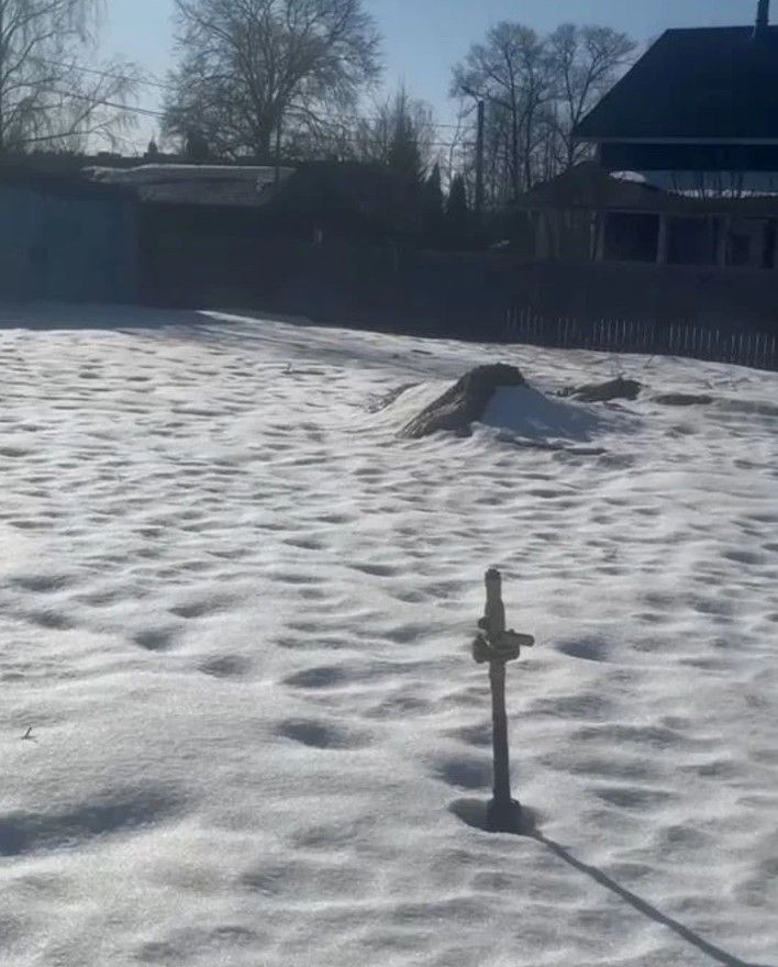 Фото земельного участка по адресу г Санкт-Петербург, г Красное Село, ул Гвардейская, д 55