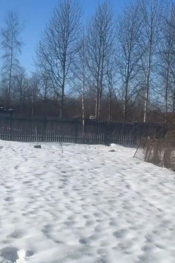 Фото земельного участка по адресу г Санкт-Петербург, г Красное Село, ул Гвардейская, д 55