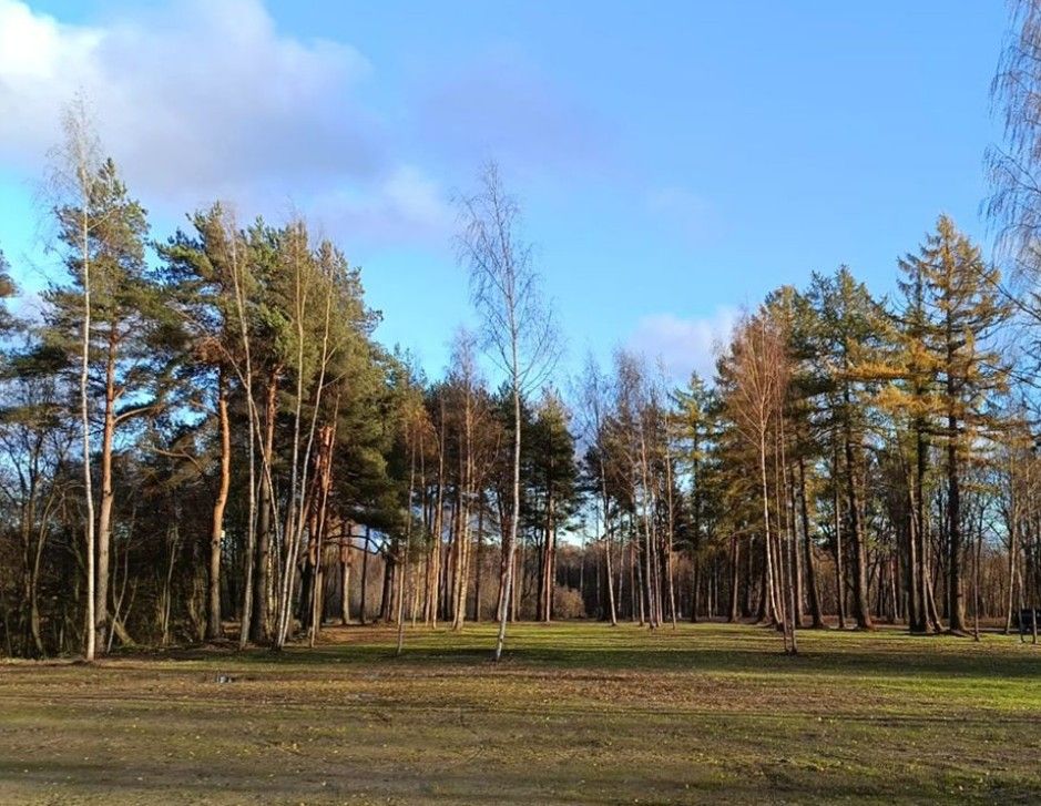 Фото земельного участка по адресу г Санкт-Петербург, Муринская дорога, д 16 к 1 стр 1