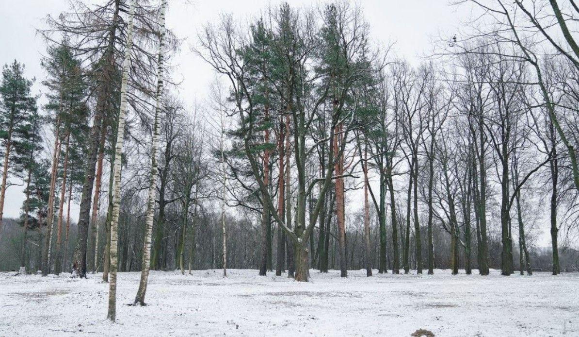 Фото земельного участка по адресу г Санкт-Петербург, Муринская дорога, д 16 к 1 стр 1