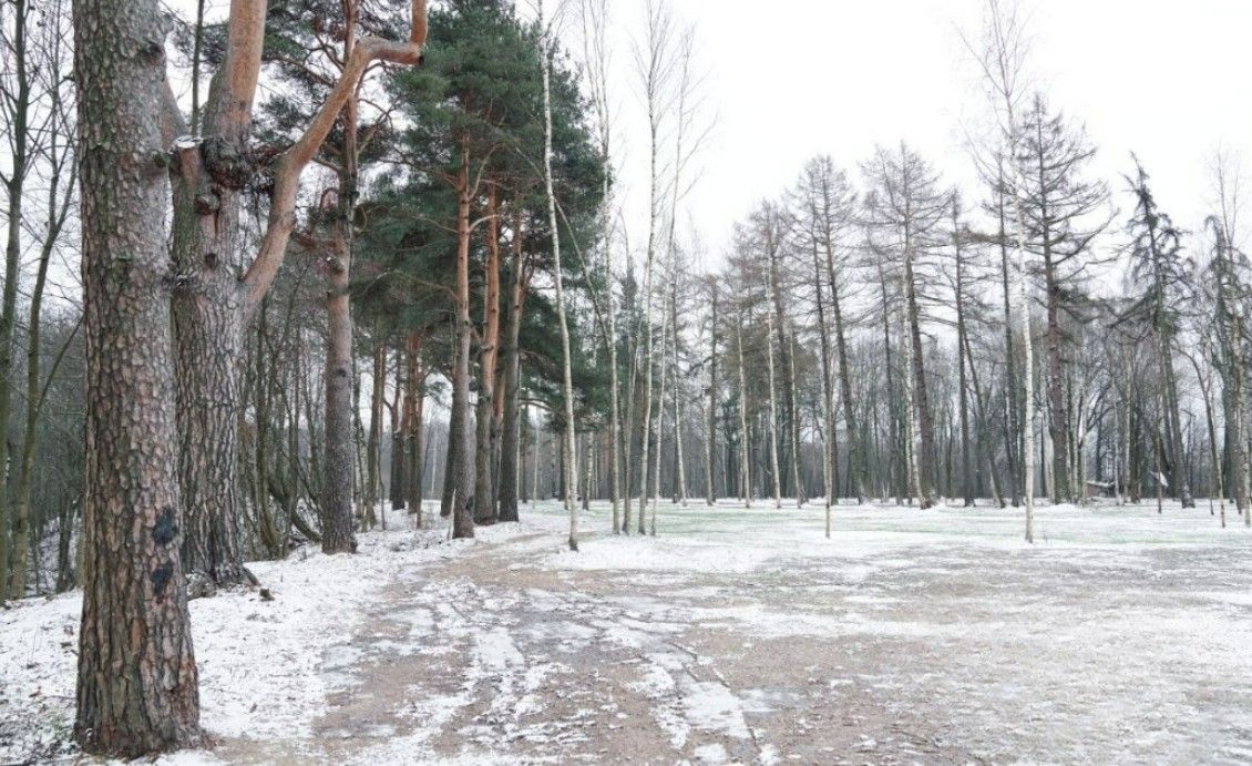 Фото земельного участка по адресу г Санкт-Петербург, Муринская дорога, д 16 к 1 стр 1