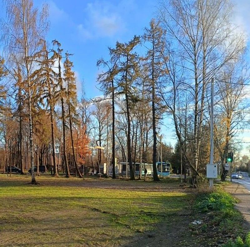Фото земельного участка по адресу г Санкт-Петербург, Муринская дорога, д 16 к 1 стр 1